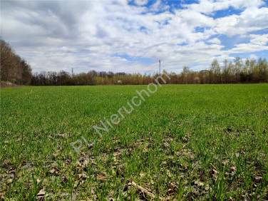 Działka Odrano-Wola