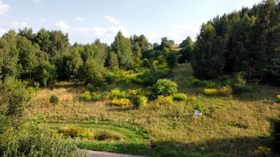 Działka budowlana Sadowie