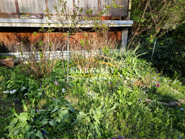 Mieszkanie blok mieszkalny przy lesie