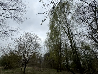 Działka przemysłowa Oświęcim