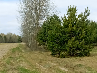 Działka Wólka Mlęcka