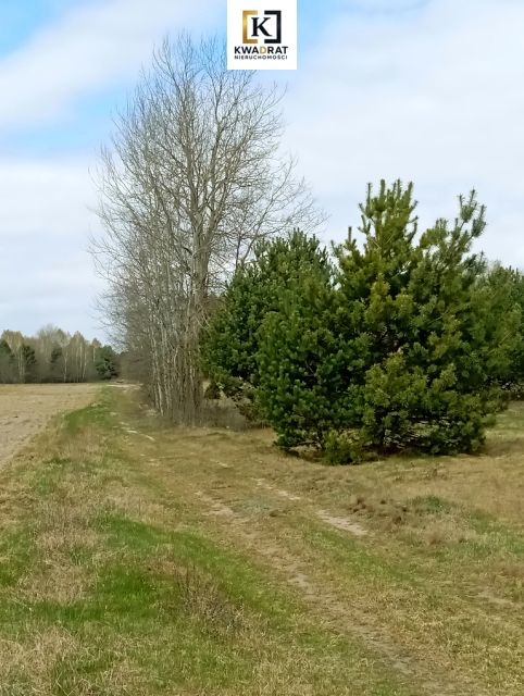 Działka Wólka Mlęcka