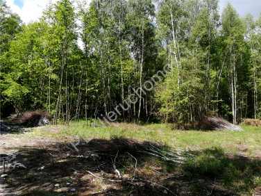 Działka budowlana Grabina