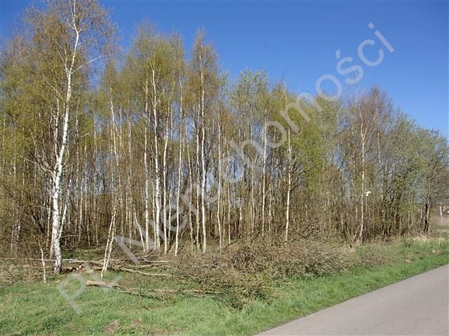Zdjęcie 2