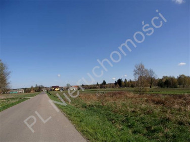 Działka rolna Wólka Iłówiecka