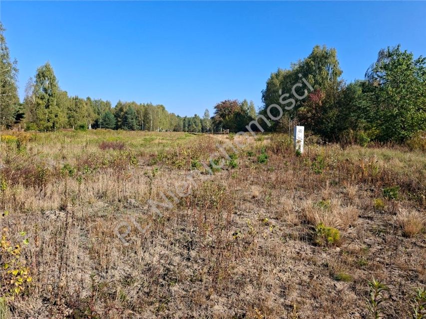 Działka usługowa Okuniew