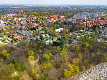Działka przy lesie