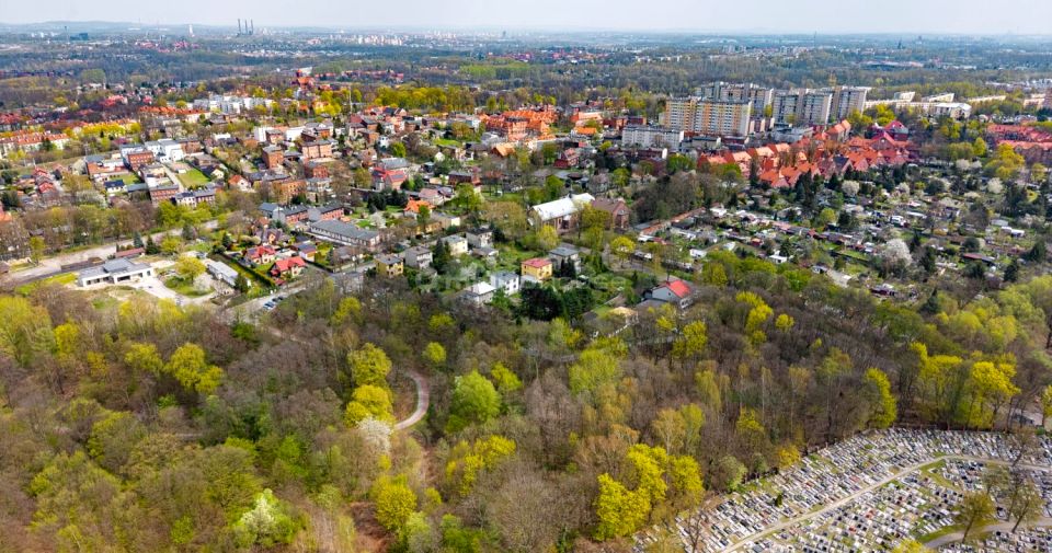 Działka przy lesie