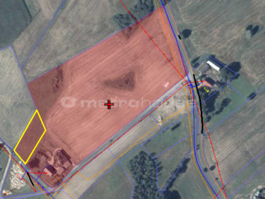 Działka siedliskowa Ząbrowo