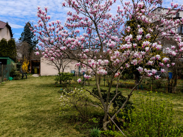 Działka budowlana Skierniewice