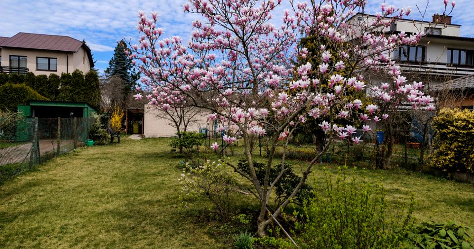 Działka budowlana Skierniewice