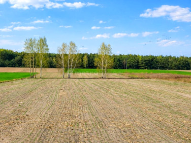 Działka budowlano-rolna Budy Trzcińskie sprzedam