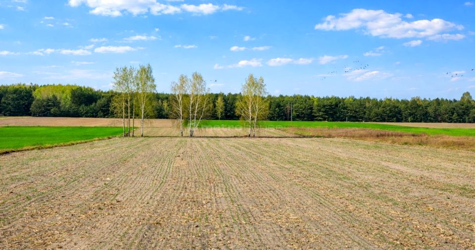 Działka budowlano-rolna Budy Trzcińskie sprzedam