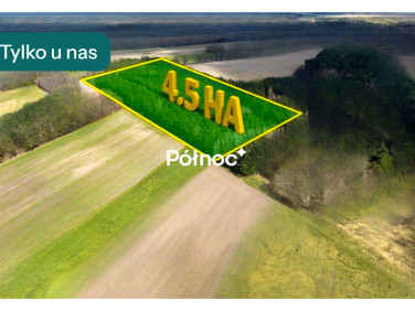 Działka leśna Elżbiecin