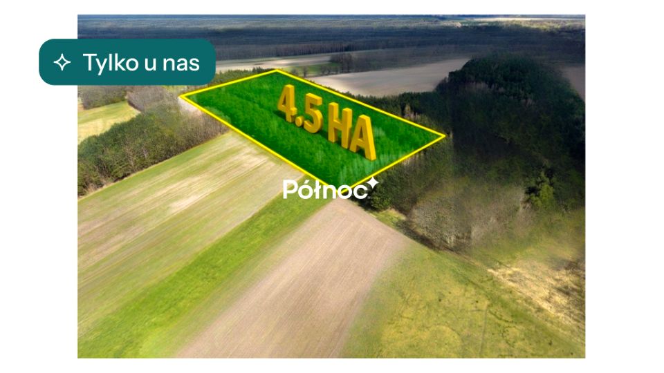 Działka leśna Elżbiecin