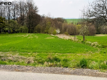 Działka budowlana Wieszczęta