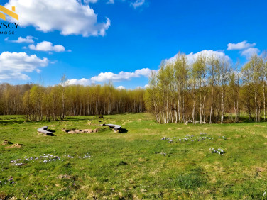 Działka rekreacyjna Dawidy