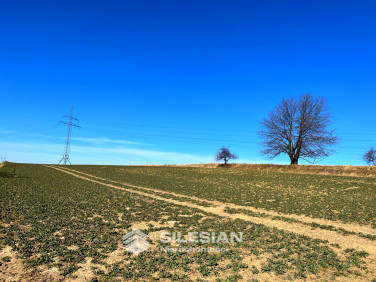 Działka budowlana Witoszów Dolny