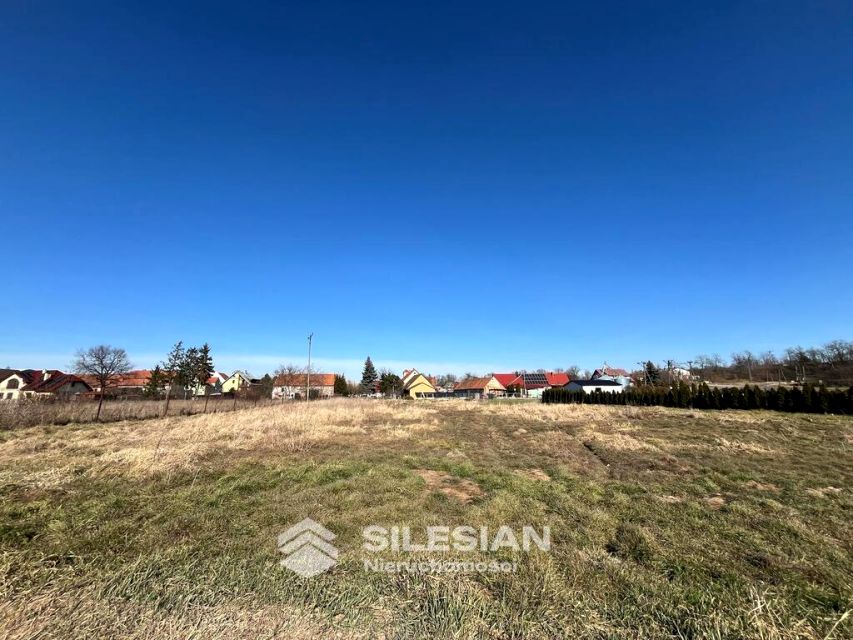 Działka budowlana Pszenno