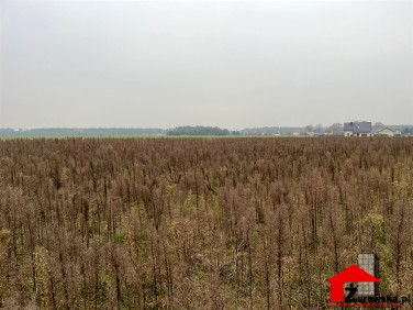 Działka budowlana Centawa sprzedam