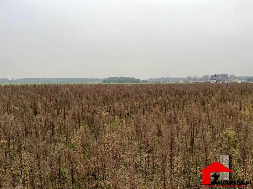 Działka budowlana Centawa sprzedam