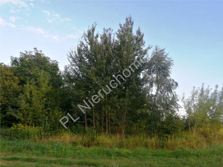 Działka budowlana Huta Kuflewska