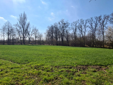 Działka budowlana Frelichów