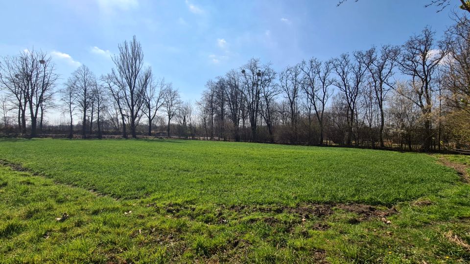 Działka budowlana Frelichów