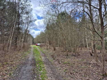 Działka Kuklówka Radziejowicka