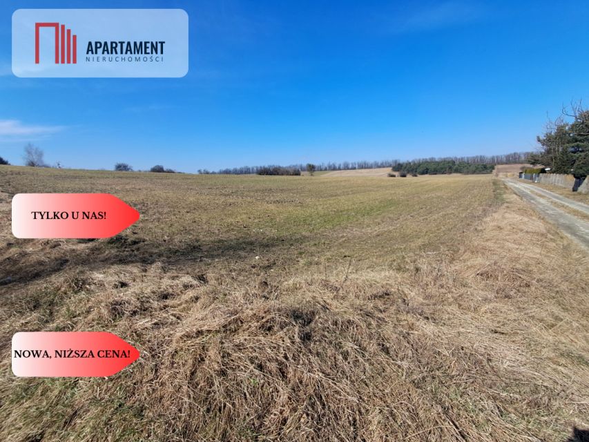 Działka inna Zielonczyn sprzedam