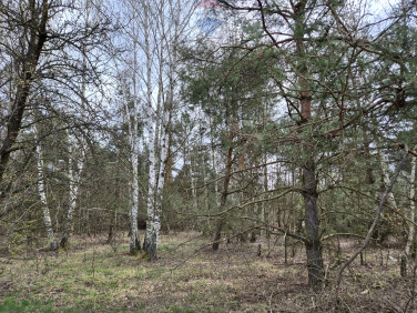 Działka Kuklówka Radziejowicka