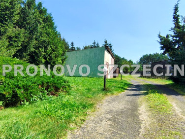 Działka inwestycyjna Sulino