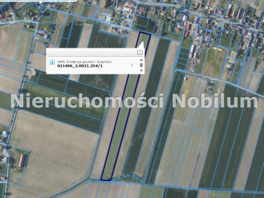 Działka siedliskowa Smolna