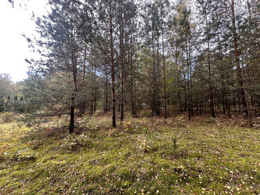 Działka budowlana Kwiatkowice