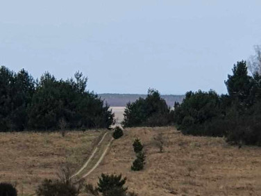 Działka GARDNA WIELKA