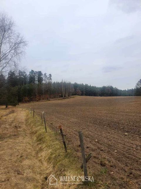 Zdjęcie 3