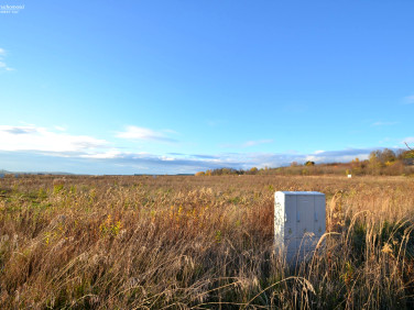 Pusta działka Dobieszowice