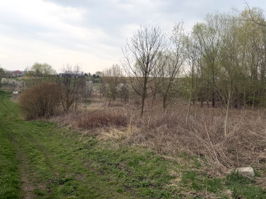 Działka Masłomiąca