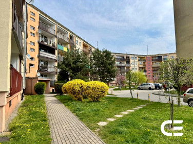 Mieszkanie Oleśnica