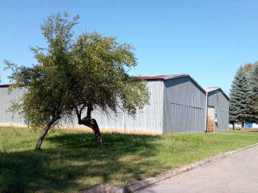 Budynek użytkowy Skopanie