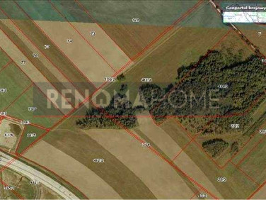 Działka przemysłowa Gromadka sprzedam