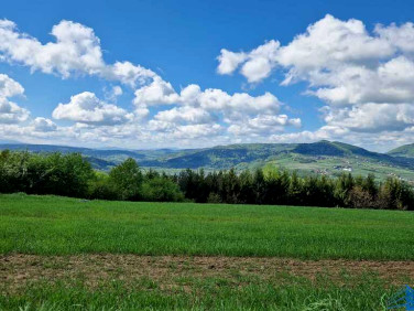 Działka budowlana Wola Kurowska