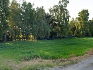 Działka budowlana Płochocin