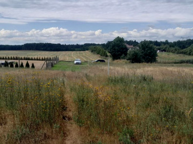 Działka Rokitno