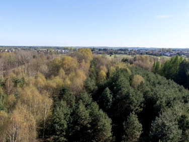 Działka Zendek