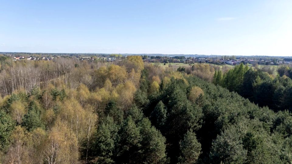 Działka Zendek