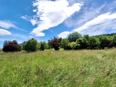 Działka Chocieszów