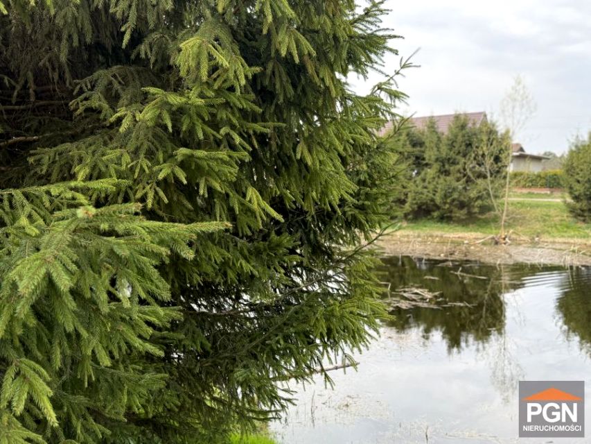 Działka nad morzem