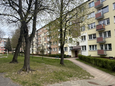 Mieszkanie Białystok sprzedaż