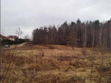Działka budowlana Kieźliny sprzedam